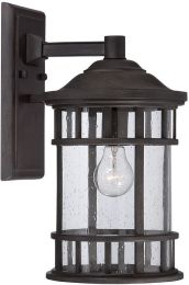 Vista 1-Light Wall-Mounted 11.25-inch Fixture in Black Coral 