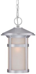 Phoenix 1-Light Outdoor Hanging Lantern in Brushed Silver 