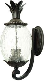 Lanai Collection Wall-Mount 2-Light Outdoor Fixture in Black Coral 