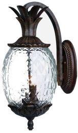 Lanai Collection 2-Light Downward Wall Mount Outdoor Black Coral Fixture 