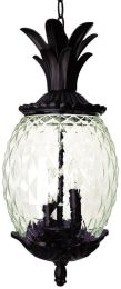 Lanai Collection Hanging Lantern 3-Light Outdoor Black Coral Light Fixture 