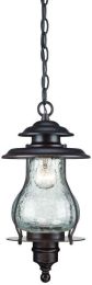 Blue Ridge 1-Light Outdoor Hanging Lantern in Architectural Bronze 