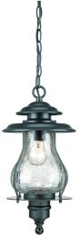 Blue Ridge 1-Light Outdoor Hanging Lantern in Matte Black 