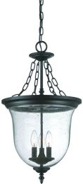 Belle Collection Hanging Lantern 3-Light Outdoor Matte Black Light Fixture 