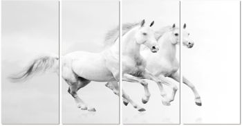 White Horses Running - 4 Piece acrylic picture of 2 horses 