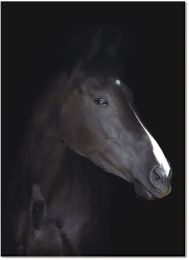 Black Horse - Acrylic headshot portrait of a black horse (48 x 30) 