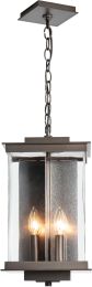 Kingston Outdoor Lantern (Large - Coastal Bronze - Translucent Vintage Platinum & Clear Glass) 