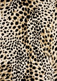 Claro Leopard Print Plush Rug (6 x 8 - Beige Black White) 