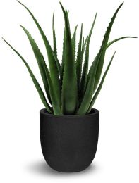 Aloe (30 Inch - Green) 