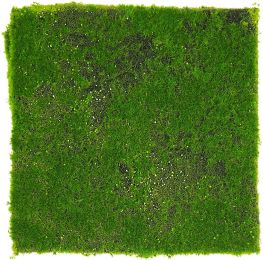 Moss Tile (2 Inch - Green) 