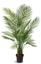 Areca Palm (59 Inch - Green) 
