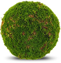 Moss Ball (16 Inch - Green) 