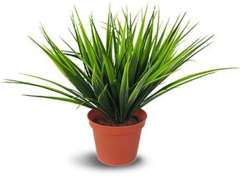 Potted grass (10 Inch - Green) 