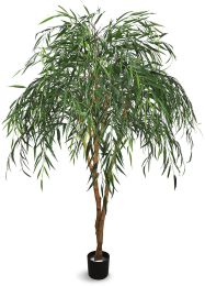 Willow Tree (Green - 60 In) 