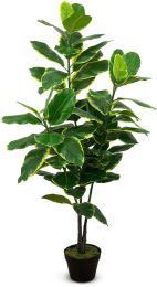 Ficus Elastica (Green - 48 In) 