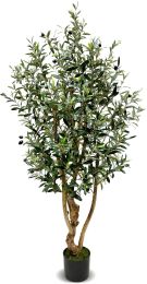 Olive Tree (Green - 63 In) 