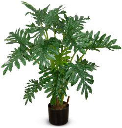 Philodendron (Green - 38 In) 