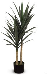 Yucca (Green - 43 In) 