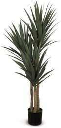 Yucca (59 Inch - Green) 