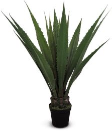 Agave (45 Inch - Green) 