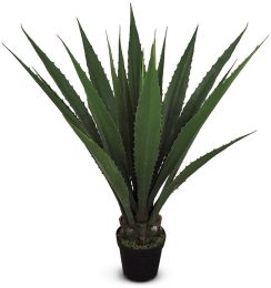 Giant Agave (Green - 53 In) 