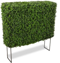 Boxwood Hedge  (14 Inch - Green) 