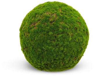 Moss Ball (10 Inch - Green) 