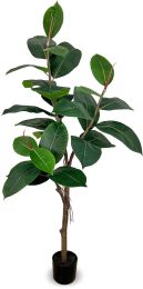 Ficus Elastica (52 Inch - Green) 