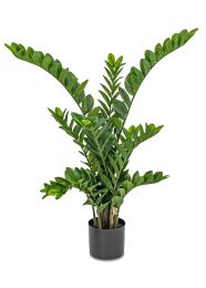 Zamifolia (44 Inch - Green) 