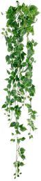 Philo Tombant (66 Po - Vert) 