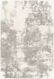 Cloudy Shag Rug 2318 (Off-White - 5'3 x 7') 