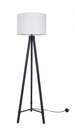 Scintillate Floor Lamp (Frosted Black) 