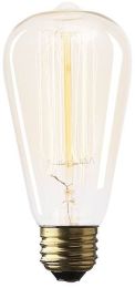 Filament Light Bulbs (Teardrop E26 40W 5 Inch Bulb) 