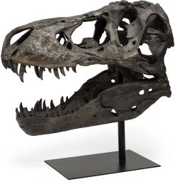 Lagrane Tyrannosaurus T Rex Dinosaur Skull Replica 