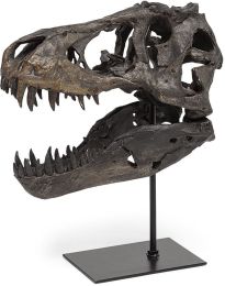 Jurassic (Réplique De Crâne De Tyrannosaure en Résine Marron) 
