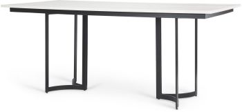 Tanner Dining Table (Rectangle - White Marble & Black Metal) 