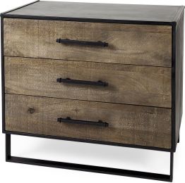 Alvin Accent Cabinet (Wood with Metal Framing) 