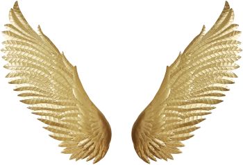 Wings Wall Decor (Gold) 