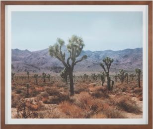 Desert Peinture (Imprimé Encadré De Terre Désertique) 