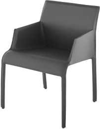 Delphine Dining Chair (Armrests - Dark Grey Leather) 