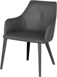 Renee Dining Chair (Grey with Titanium Legs) 