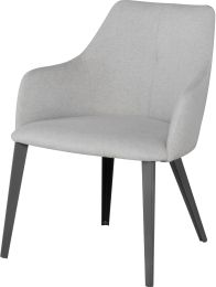 Renee Dining Chair (Stone Grey with Titanium Frame) 