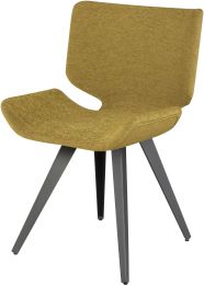 Astra Dining Chair (Palm Springs with Titanium Legs) 