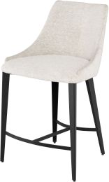 Renee Counter Stool (Shell with Titanium Frame) 