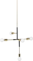 Hendrix Pendant Light (Black with Gold Accent) 