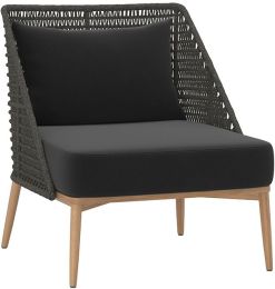 Andria Lounge Chair (Arashi Black) 