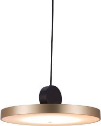 Mozu Ceiling Lamp (Gold & Black) 