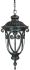 Naples 1-Light Outdoor Hanging Lantern in Marbleized Mahogany
