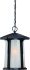 Illuma 1-Light Outdoor Hanging Lantern in Matte Black