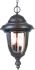 Monterey 3-Light Outdoor Hanging Lantern in Black Coral